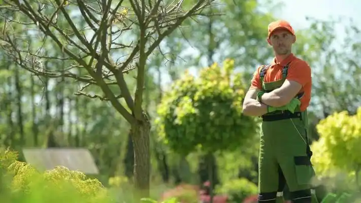 landscaping services Stonewall